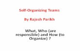 Self organizing teams-