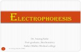 Electrophoresis principle and types