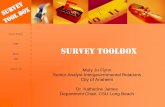 Survey Toolbox 2006