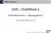 SAP - Praktikum.pdf