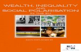 wealth, inequality social polarisation