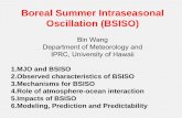 Boreal Summer Intraseasonal Oscillation (BSISO)