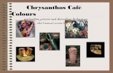 Clay & Ceramic Colours - Cafe colours application