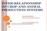 Inter relationship of crop and animal production systems