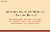 Bioenergy project development in Asia and Oceania