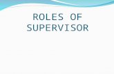 Roles of Supervisor and Developmental Approach