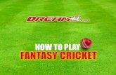 How to Play Fantasy Cricket
