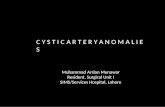 Cystic artery anomalies