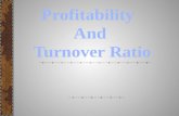 Turnover and profitability ratio