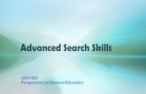 Advanced search Skills