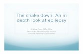 The shake down: An in depth look at epilepsy