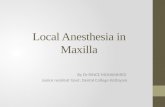 Maxillary anesthesia