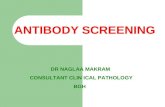 Pretransfusion testing  final- ab screening - NAGLAA MAKRAM