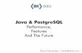 Java and PostgreSQL: Performance, Features and The Future
