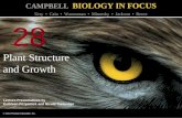 Biology in Focus - Chapter 28