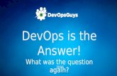 DevOps is the Answer... What was the question again? DevOps and Digital Transformation