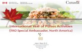 IYP Special Ambassador activites -North America
