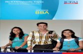 3 Year online BBA flexible learning program