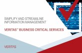 Veritas Business Critical Services eBook