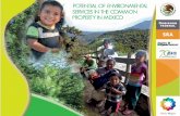 Potential of environmental services in the social property of mexico