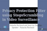 MediaEval 2015 - Privacy Protection Filter Using StegoScrambling in Video Surveillance