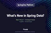 What's New in Spring Data?