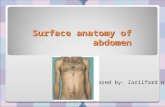 Surface anatomy of abdomen