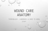 Wound Care Anatomy