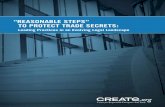 CREATe Reasonable Steps Whitepaper