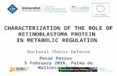 Doctoral thesis defense Petar Petrov version  5 Feb 2016