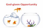God given opportunities