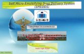 Self Micro Emulsifying Drug Delivery System