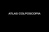 Atlas colposcopia