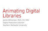 Animating Digital Libraries