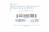 Enterprise Resource Planning (ERP) I