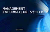 Management information system (MIS)