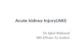 Acute kidney injury (aki)