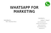 WhatsApp for Marketing
