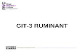 GIT-3 RUMINANT