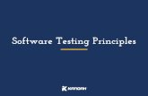 Software Testing Principles