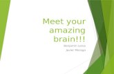 Meet your amazing brain