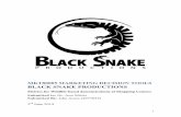 BLACK SNAKE PRODUCTIONS
