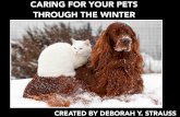 Deborah Y. Strauss, D.V.M: Caring For Your Pets Through The Winter