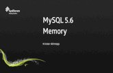 MySQL Memory Storage Engine