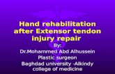 Extensor tendons injury repair and rehabilitation
