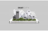 The Smart City Concept