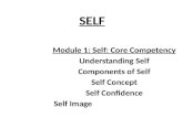 Bs 101   module 1 - self core competency