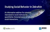 Studying Social Behavior in Zebrafish