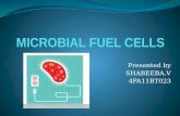 MICROBIAL FUEL CELLS-PPT