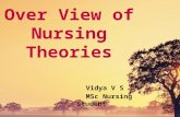 Over view of nursing theories